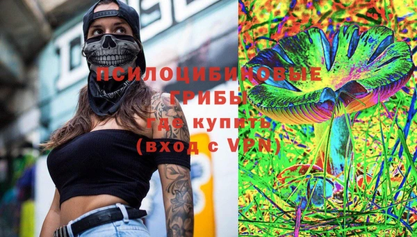 прущий лед Верея