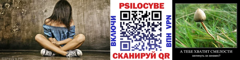 Псилоцибиновые грибы Psilocybe сколько стоит блэк спрут зеркало площадка наркотические препараты Кузнецк