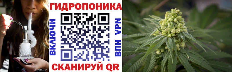 shop Telegram  гидра   Кузнецк  наркошоп  Бошки марихуана планчик 